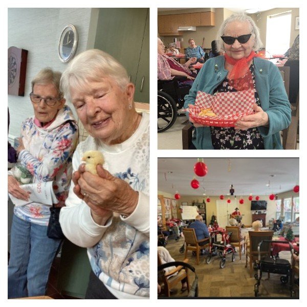 Creativity enriches life for residents' across S&R in 2025