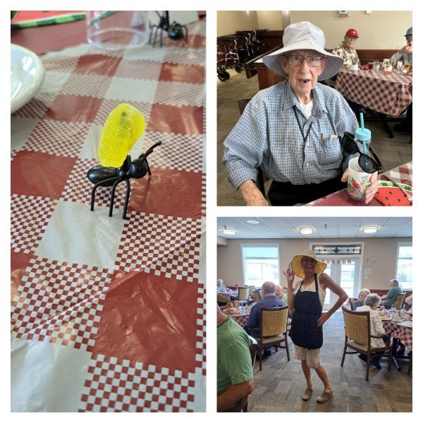 Rosewood Village hosts indoor picnic for residents